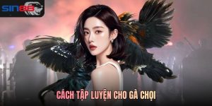 Cách tập luyện cho gà chọi