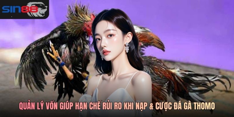 Quản lý vốn giúp hạn chế rủi ro khi nạp & cược đá gà Thomo