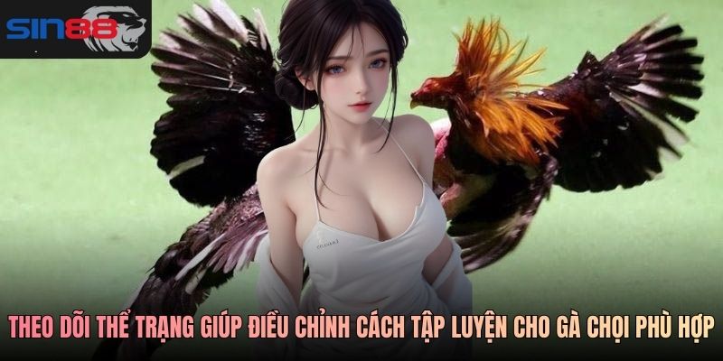 Theo dõi thể trạng giúp điều chỉnh cách tập luyện cho gà chọi phù hợp